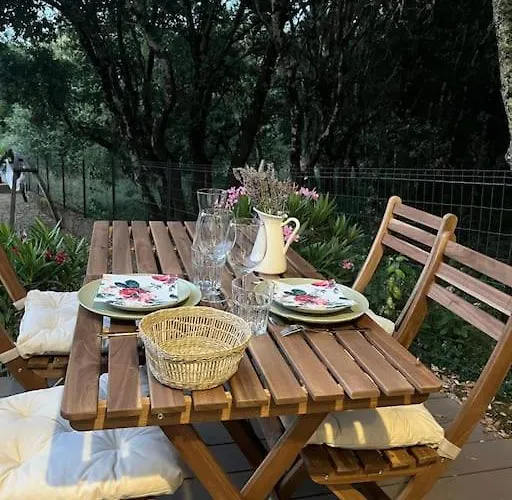 Les Chênes Verts Proche Gorges De L'ardèche Apartamento
